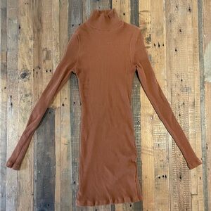 Rust Ribbed Turtleneck Dress